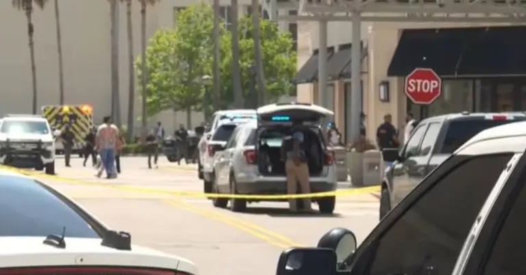 যুক্তরাষ্ট্রে কাটাকাটির জেরে গুলি